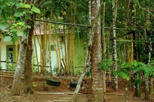 Giardino di Ayurnest Pool Resort Wayanad