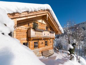 Chalet Steinbock St Martin am Tennengebirge during the winter