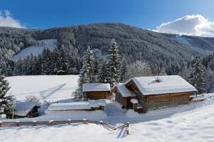 Chalet Steinbock St Martin am Tennengebirge during the winter