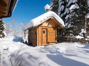 Chalet Steinbock St Martin am Tennengebirge during the winter