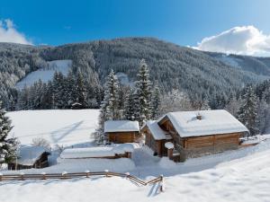 Chalet Steinbock St Martin am Tennengebirge during the winter
