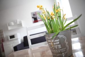 Gallery image of Bermuda Apartment in Bochum