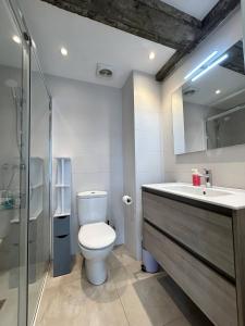 a bathroom with a toilet and a sink at EARRA- Pagoeta - cerca de la playa y centro in Zarautz +21 photos