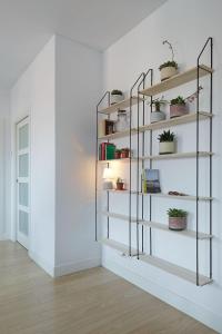 サラウツにあるEARRA - Elizalde, en centro 1 minuto de la playaのギャラリーの写真