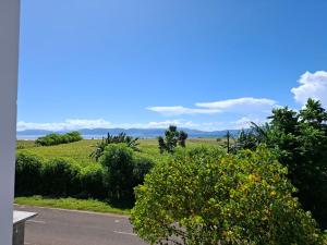 a view of a field with trees and a road at Compass Homestay in Huu