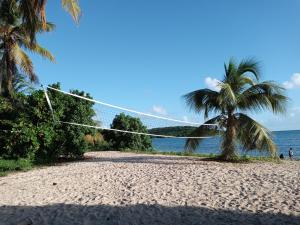 a hammock on a beach with a palm tree at Beachfront Suite 5 Coqui in Vieques