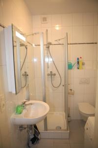 La salle de bains est pourvue d'un lavabo, d'une douche et de toilettes. dans l'établissement Bermuda Apartment, à Bochum
