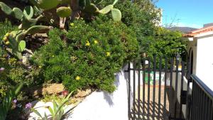 A garden outside Impresionantes vistas del mar en Roses, Canyelles AV-37