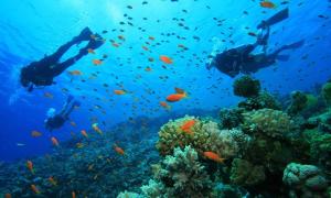 Impresionantes vistas del mar en Roses, Canyelles AV-37 vendégei