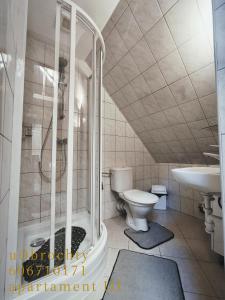 Koupelna v ubytování U Obrochty + 30 fotografií