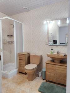 une salle de bain avec toilettes, lavabo et douche dans l'établissement Casa con vistas al mar y a la montaña en la Almadrava AV-36, à Roses