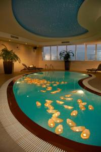 a large pool of water with shells in it at Cristal Hotel Abu Dhabi in Abu Dhabi