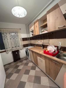 a kitchen with a sink and a washing machine at Circumvalațiunii Studio in Timişoara