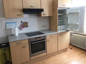 Kuchyň nebo kuchyňský kout v ubytování Ferienwohnung Thekla