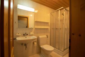 Un baño con inodoro, ducha y lavabo. en Ferienwohnung Wilder Kaiser Nähe Bergdoktor Drehorte IDT098 by FeWo-Plan, en Itter 16 fotos más