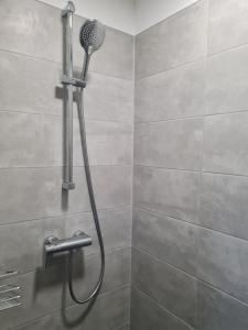 a shower with a shower head in a bathroom at Baltic Apartment in Lambrechtshagen