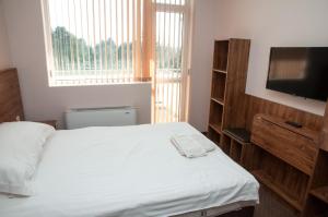 a bedroom with a bed and a flat screen tv at Hostel Izida 2 in Dobrich