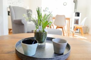 a tray with two cups and a plant on a table at FeWo Dünenrose in Dahme