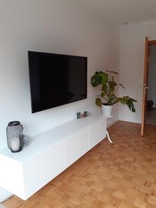 TV a/nebo společenská místnost v ubytování Ferienwohnung Tettenbusch in der Waldstadt Prüm Naturpark Eifel
