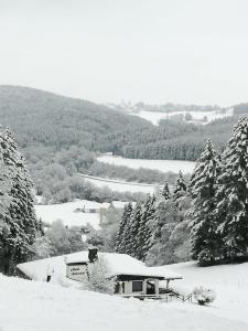 Ferienwohnung Tettenbusch in der Waldstadt Prüm Naturpark Eifel v zimě