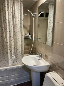 a bathroom with a sink and a toilet and a mirror at stay bnb 206 in Seoul