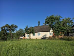a white house in a field of grass at Kellerstöckl am veganen Bio-Lebenshof "Varm - die vegane Farm" in Bergla