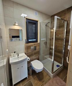 un bagno con wc, doccia e lavandino di Family Resort Powidz a Powidz Altre 24 foto