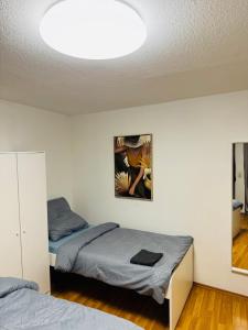 a bedroom with two beds and a ceiling with a light at Gemütliches Apartment in Koblenz-Ehrenbreitstein in Koblenz +10 photos