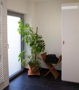 Fotografie z fotogalerie ubytování Achterdeck mit Sauna v destinaci Eckernförde