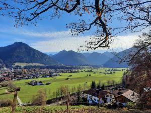 a green field with mountains in the background at Ferienwohnung Lichtblick in Oberstdorf
