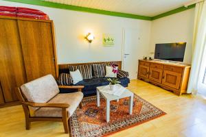 ラムサウ・アム・ダッハシュタインにあるSoldanella 8 by Alpenidyll Apartmentsのソファとテレビのあるリビングルーム
