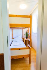ラムサウ・アム・ダッハシュタインにあるSoldanella 8 by Alpenidyll Apartmentsのベッドルーム1室(二段ベッド1組付)