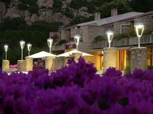 Zahrada ubytování Hotel Olimpia