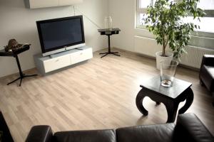 a living room with a couch and a tv at City Ferienwohnung Gaggenau in Gaggenau +17 photos