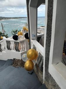 Fotografie z fotogalerie ubytování Rosehill View Garden v destinaci Port Antonio