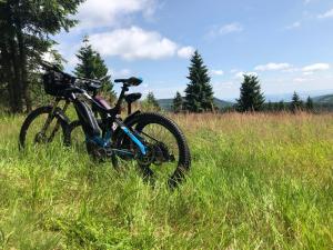 Jízda na kole v ubytování Waldgasthof Bad Einsiedel nebo okolí + 37 fotografií