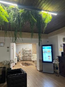 TV a/nebo společenská místnost v ubytování Hotel Soimul
