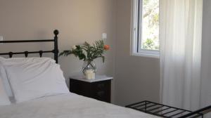 ニキアナにあるEpiskopos Apartmentsのベッドルーム1室(ベッド1台付)、植物のある窓が備わります。