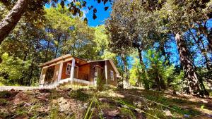 Peisaj natural din apropierea acestei case de vacanță
