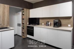 Η κουζίνα ή μικρή κουζίνα στο Conacul Cheia