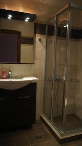 ニキアナにあるEpiskopos Apartmentsのバスルーム(ガラス張りのシャワー、シンク付)