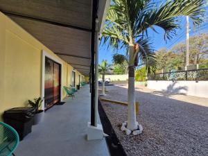 Zahrada ubytování Hotel Carlota Tamarindo