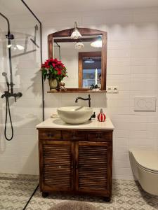 a bathroom with a sink and a shower and a toilet at Fairytale cottage Francka in Gorica pri Slivnici