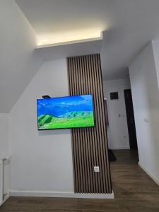 טלויזיה ו/או מרכז בידור ב-Apartmani Divila