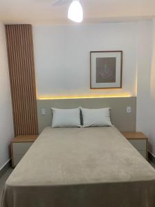 a bed with two pillows in a room at Apartamento no centro da cidade in Serra Negra +7 photos