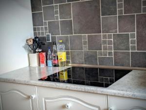 Kuchyň nebo kuchyňský kout v ubytování Villa Wunder