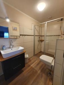 a bathroom with a sink and a toilet and a shower at Ferienwohnung "Kombüse" in Sahrensdorf