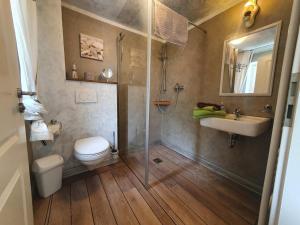 a bathroom with a toilet and a sink and a shower at Ferienwohnung "Unner Deck" in Sahrensdorf