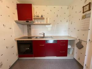 een kleine keuken met rode kasten en een spoelbak bij Ferienwohnung in Frielendorf in Frielendorf