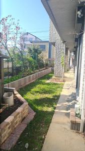 Zahrada ubytování OSO Homestay